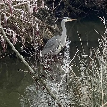 Entre Mer Et Marais *